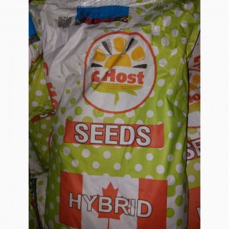 Продам гібрид кукурузи G HOST (Канада) (урож. 2017 р.)