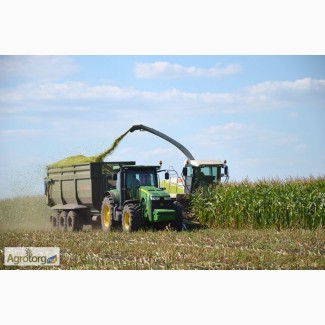 Услуги по уборке кукурузы на силос комбайнами Ягуар по всей Украине