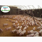 Ферментационная подстилка для животных и птиц Биоферм (Bioferm ) 1 кг -1500 грн