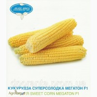 Насіння цукрової кукурудзи Мегатон F1