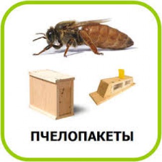 Продам пчелопакеты. 2019 Днепропетровская обл