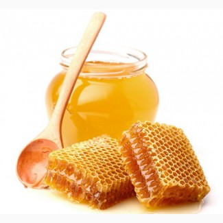 Мёд натуральный разнотравье - идеальный для кондитерки) Фасовка 15 кг
