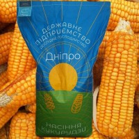 Продам посівний матеріал кукурудзи, гібрид ДН Джулія