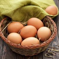 Предприятие на постоянной основе закупает яйца куриные