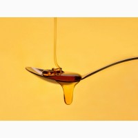 Закупка меду оптом у Чернігівській області
