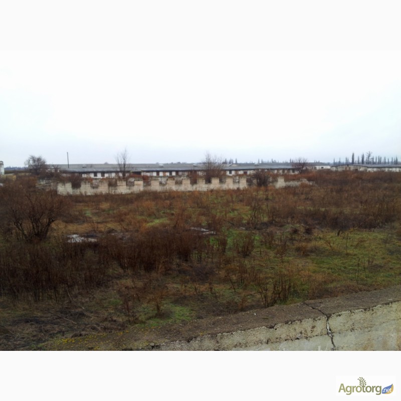 Фото 7. Продам свиноферму в Днепропетровске