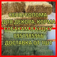 Продам сено в тюках. Объёмы. Б/н. Доставка на ферму