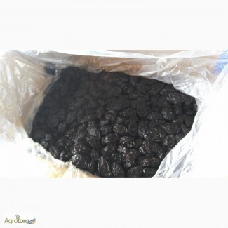 Продам чернослив из Молдовы от 10 тонн