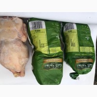 Цыплята Halal тушки, Цыплята табака 0, 800-0, 900-1000гр, опт