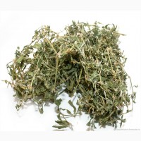 Спорыш (Горец птичий) трава фасовка от 100 грамм - 1 кг