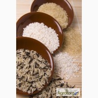 Продам рис оптом Украинский, импорт Пакистан