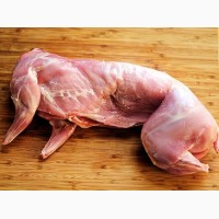 Продам мясо калифорнийского кролика, тушки по 1.5-1.8 кг