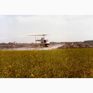 Склеивание стручков рапса с самолета Ан-2 и вертолета