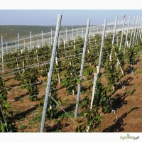 Металлические столбы для виноградников 2, 4 м