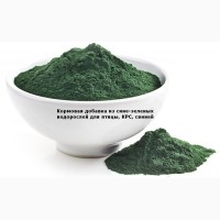 Очистка и переработка сине-зеленых водорослей в удобрения и корма
