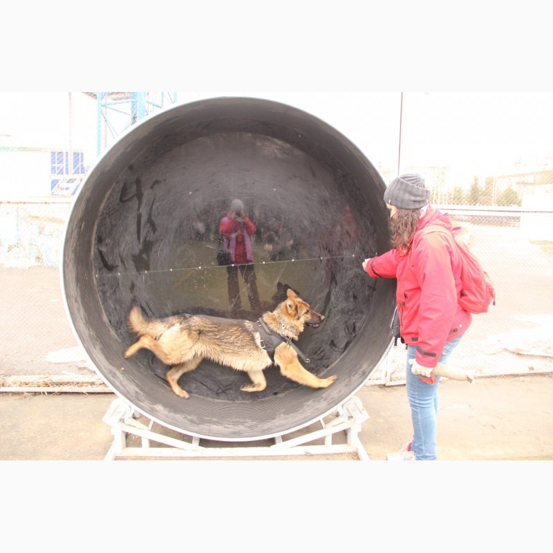 Фото 5. Дрессировка собак в омске - ОЦССС