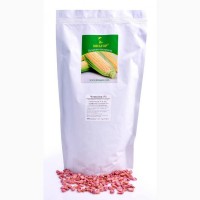 Сахарная кукуруза Чемпион F1, Sh2, среднеспелый (76-78 дней) семена