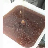 Продам мед різних сортів з власної пасіки