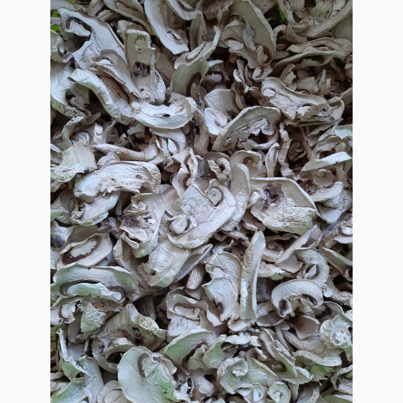 Фото 2. Продаємо сушені шампіньйони та сухий грибний порошок, Тернопіль