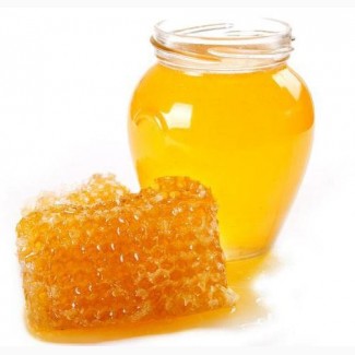 Куплю мед на постійній основі