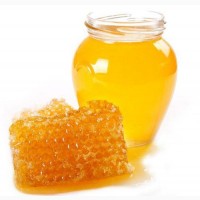 Куплю мед на постійній основі
