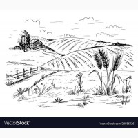 ПРОБЛЕМНУЮ пшеницу КУПИМ (проросшую, сажка и т.п) Быстро