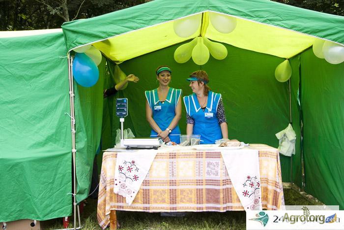 Фото 2. Палатки для агровыставки, агро-маркетинга