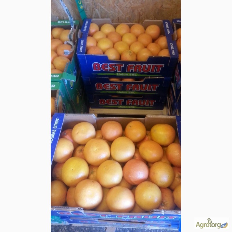 Фото 2. Продаем грейпфрут из Испании