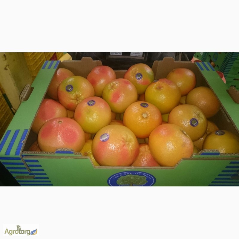 Фото 4. Продаем грейпфрут из Испании