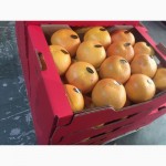 Продаем грейпфрут из Испании
