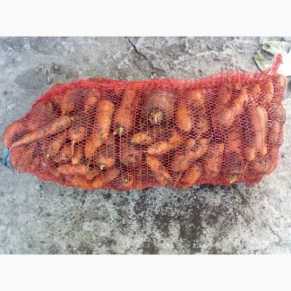 Продам морковь Абака 2 сорт от производителя Дніпропетровська обл