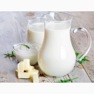 Закупка молочных продуктов с сертификатом качества