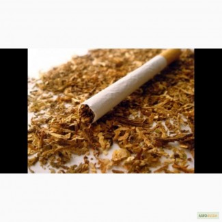 Натуральный табак