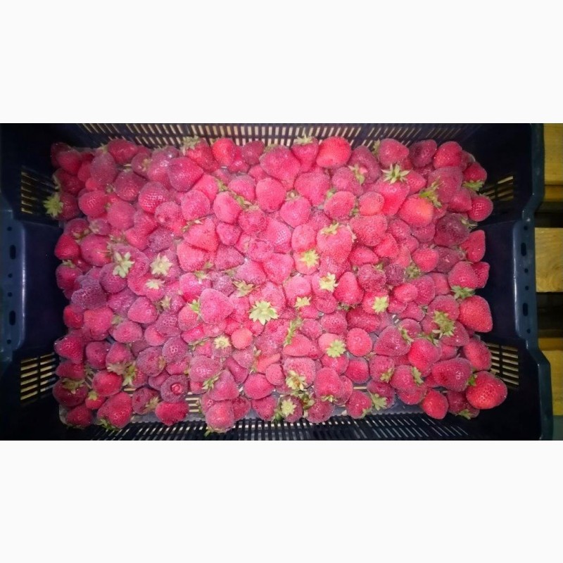 Фото 2. Клубника шоковой заморозки урожай 2019 г с плодоножкой