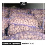 Картофель | Продажа картошки | ОПТ/Розница