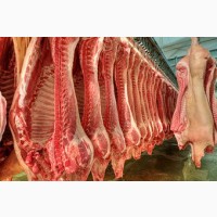 Мясо и субпродукты опт (свинина, говядина, птица, рыба)