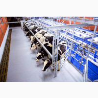 Обладнання DeLaval для молочно-товарних ферм