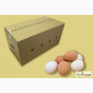 Ящики для Яиц, тара для яиц, картонный ящик, гофротара