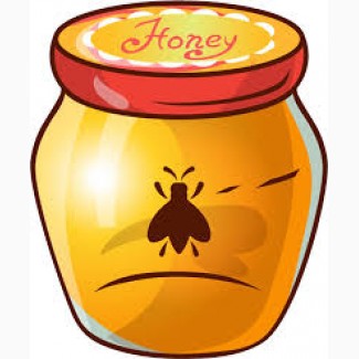 ОПТОВАЯ Закупка мёда по Днепропетровской и соседних областях