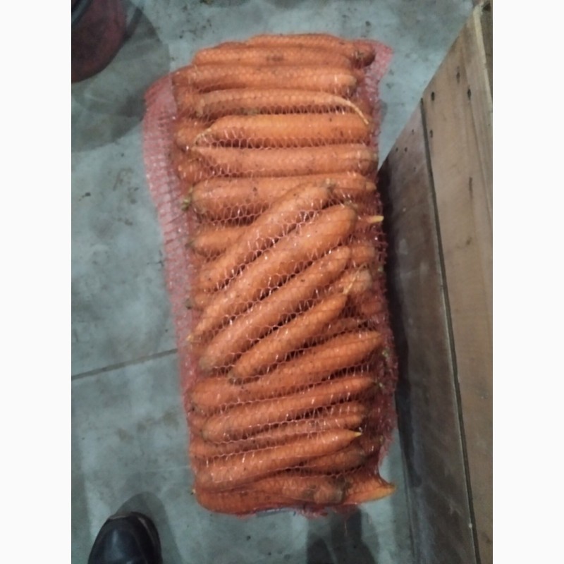Фото 3. Продам морковь нанского типа