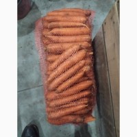 Продам морковь нанского типа