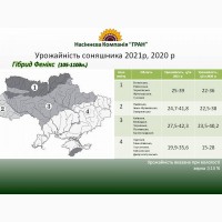 Насіння соняшника, кукурудзи вирощені в україні високої якості