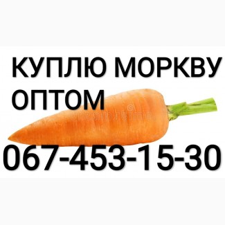 Куплю морковку