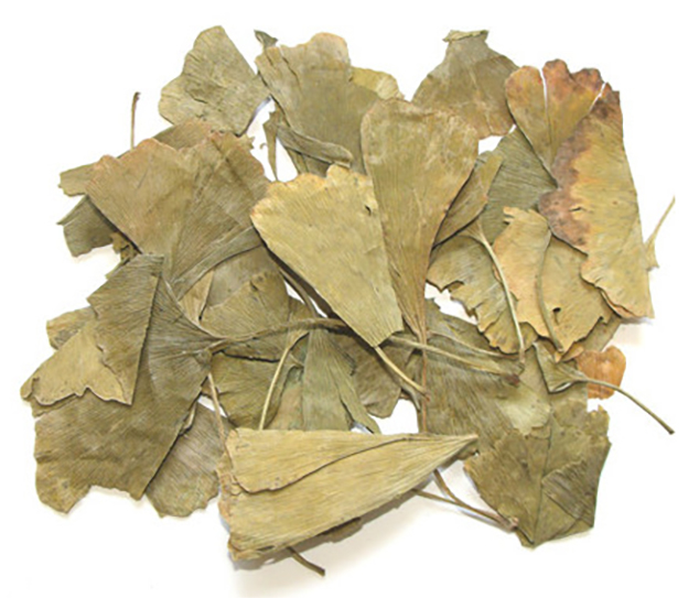 Гинкго билоба (листья) фасовка от 100 грамм - 1 кг