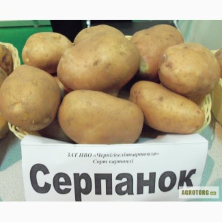 Продам картофель семенной (элита)