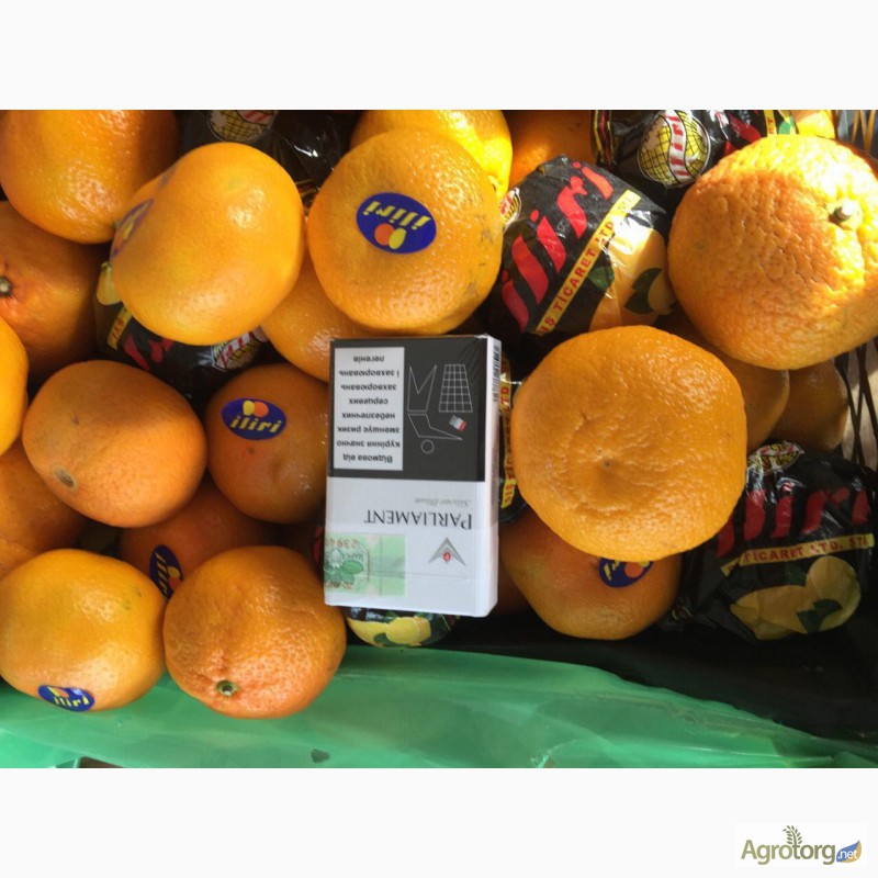 Фото 5. Продам мандарин прямая поставка с Турции цена Договорная в тел.режиме