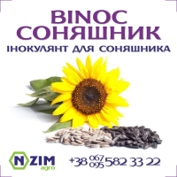 Binoc Соняшник - комплексний інокулянт для насіння соняшника