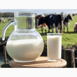 Продам свіжозібране молоко оптом від власних корів