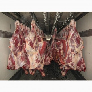 Поставки свинини, яловичини та субпродуктів