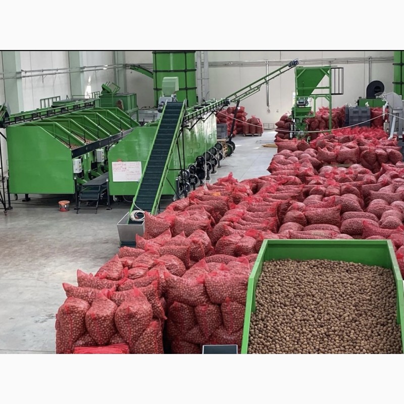 Фото 2. Walnut export, 2020-2021 crop, ceviz KABUKLU Грецкий орех Мерсин